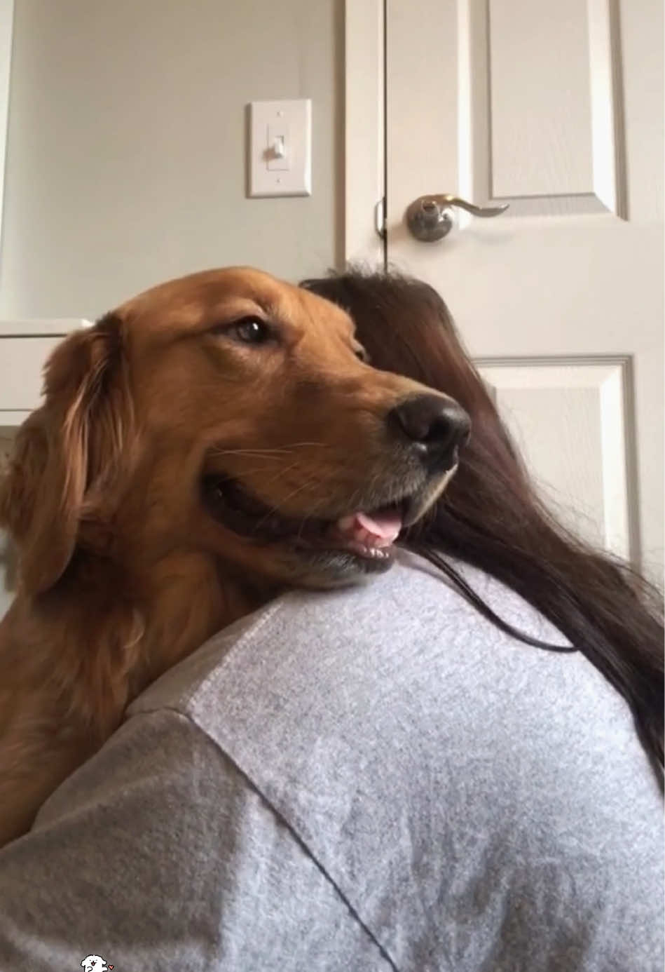 Dog hugs owner #dogs #doglover #usa #petlover #dogsoftiktok 