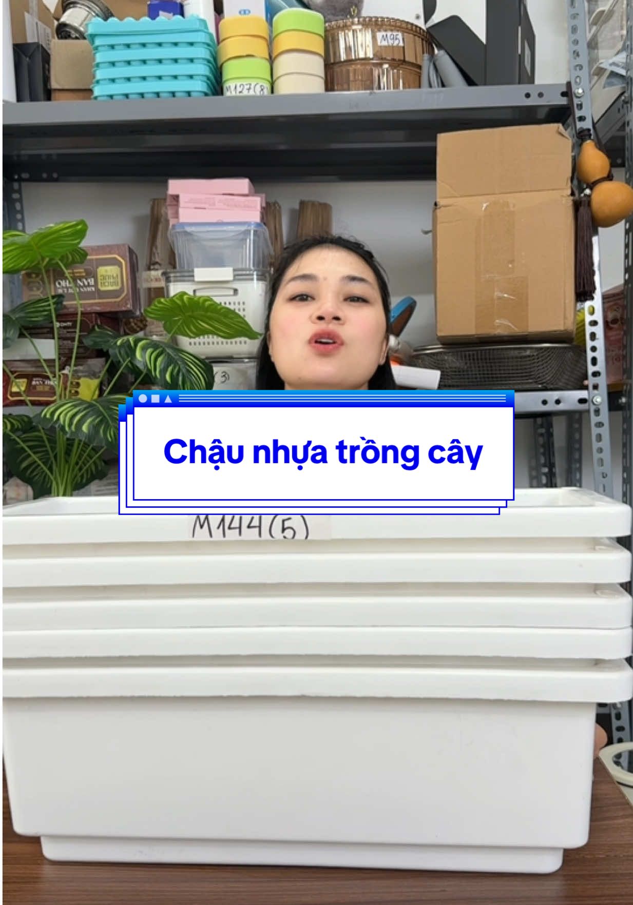 Chậu nhựa trồng cây #chaunhuatrongcay #xuhuong #xuhuongtiktok 