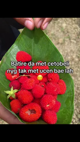 Rapapa pda” abang be #fyp #trand #🍓🍓🍓 #banjarnegaraterkini #ngapakpride 