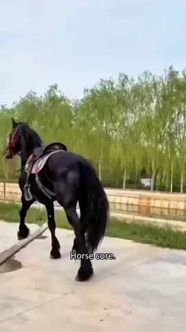 Horses 🐎#horse #horsesontiktok #funny #funnyanimals #funnyvideos #core #fyp 