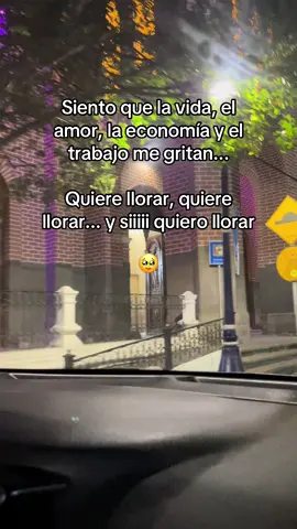 tengo corazón de pollito necesito un abrazo 🥹 #xybca #paratii #sad #❤️‍🩹