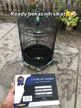 Bekast nih satset🤭#bumisangkarcikijing #kicaumania #kicaumaniaindonesia #muraibatuindonesia #muraibatu #sangkarburung #sangkarlomba #sangkarmurai #radja #radjacompany #vikingarena 