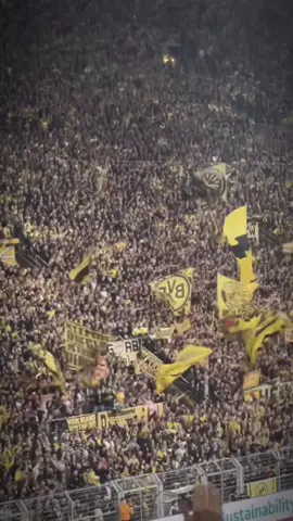 Thánh địa SIGNAL IDUNA PARK 🟡⚫️ nơi khiến bao đội bóng hành quân đến đều phải khiếp sợ💀🔥#dortmund #signalidunapark #borussiadortmund #bongda #football 