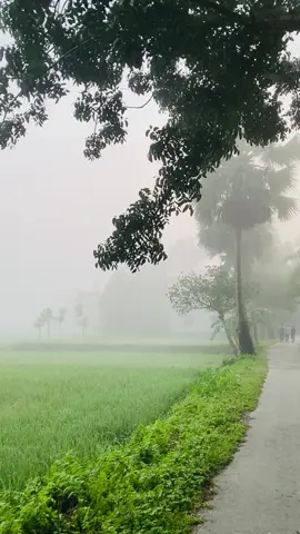 শীতের আবহাওয়া চলে আসছে #foryoupagе #vairal #শিতের_সকালে #frypgシ #foryoupage❤️❤️ 