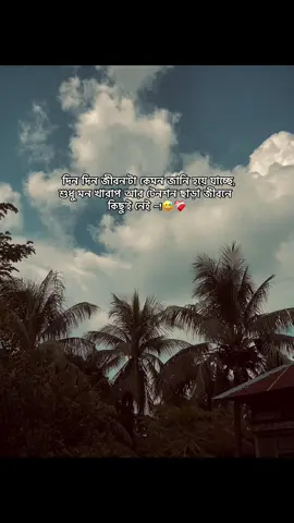 দিন দিন জীবন'টা কেমন জানি হয়ে যাচ্ছে, শুধু মন খারাপ আর টেনশন ছাড়া জীবনে কিছু'ই নেই ~!😅❤️‍🩹 #newid #followme #fypシ゚ #viral #bdtiktokofficial @TikTok Bangladesh @〆SɨɎȺM⚔VȺɨ࿐ 