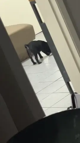 Flagrante 😂😂😂