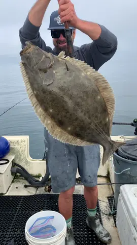 Hook and Line commercial Halibut Fishing  #fishing #friendliestcatch #commercialfishing 