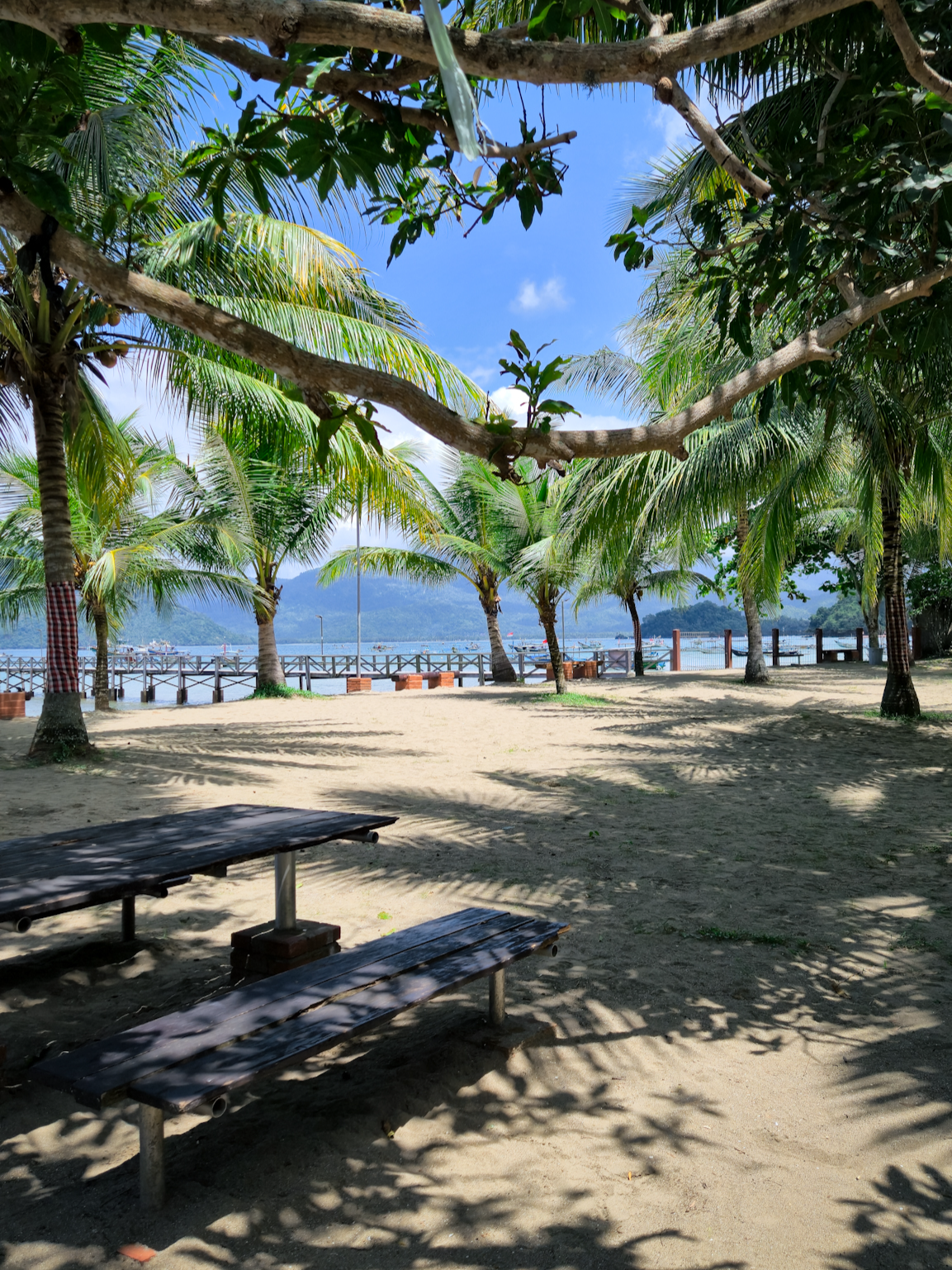 #rekomendasi #wisatapantai #trenggalek #pantaipasirputih #pantaikaranggongso #masukberanda #fyp #pantaitrenggalek #xzybca #hd #60fps