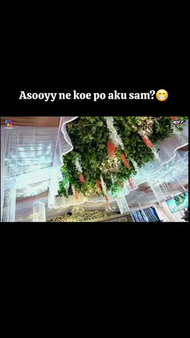 KST Mode Djandutan Well🤪🐴@dhesy_dheyant #katresnansejati #fypviralシ  #fyp #viraltiktok #epyepe 