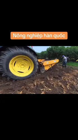 Anh chị quan tâm nhắn tin trực tiếp cho mình nhé .#vieclamhanquoc #xkldhanquoc #láixe #thoivuhanquoc #xuhuong2025 