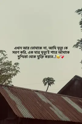 এখন আর তোমাকে না আমি মৃত্যু কে সরণ করি, এক মাত্র মৃত্যু'ই পারে আমাকে  দুশ্চিন্তা থেকে মুক্তি করতে..!😅❤️‍🩹@TikTok Bangladesh @For You #Bahmonbaria #bangladesh🇧🇩 