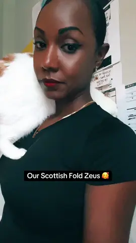 If you are new here…meet Zeus! We got him as a kitten at always only a few weeks…and this is him now 🥰