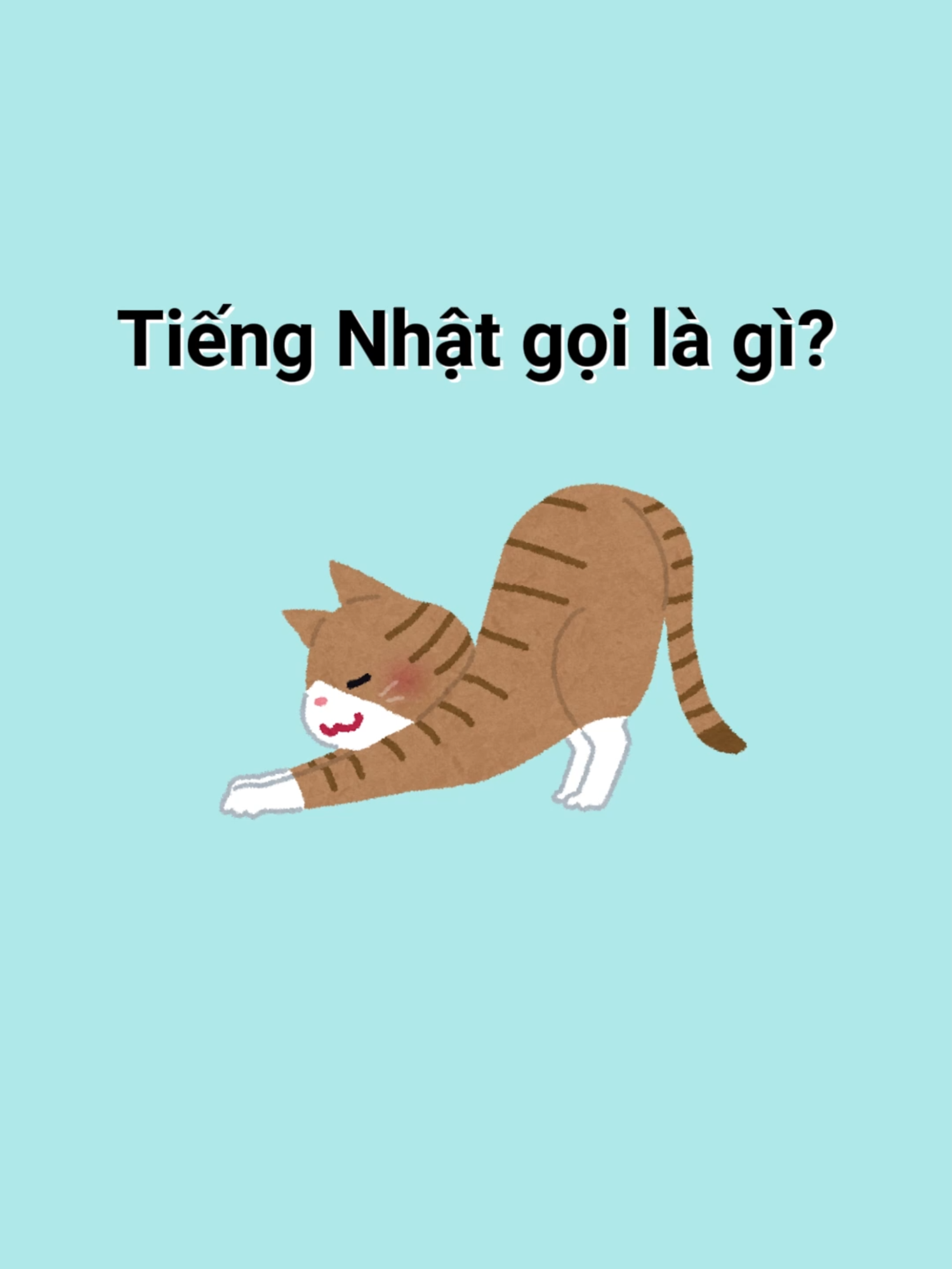 Mọi người đúng được mấy câu vậy taaa #hoctiengnhat #LearnOnTikTok #learnjapanese #rikinihongo #quiztime