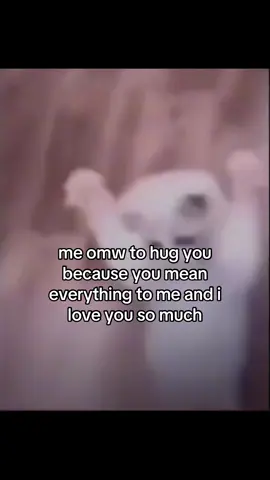 #cat #catsoftiktok #couple #ilovemybf #ilovemygf #fyp #viral 