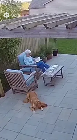 Hero Dog Saves Elderly Woman from Collapsing Pergola 🐕💥❤️ | Real Security Footage | Shock to Relief in 10 Seconds #HeroDog #SecurityFootage #HeartwarmingRescue #DogSavesOwner #RealLifeDrama