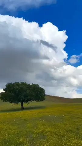 dreamcore...#weirdcore #dreamcore #fyp #feverdream #nostalgia 