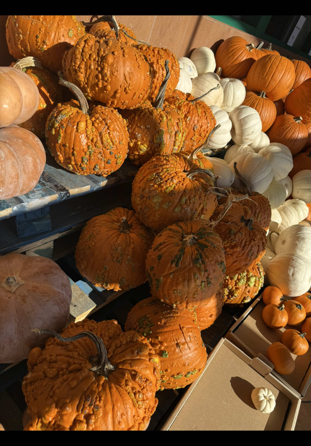 Chill Sundays in. > #sundayreset #reset #NightIn 