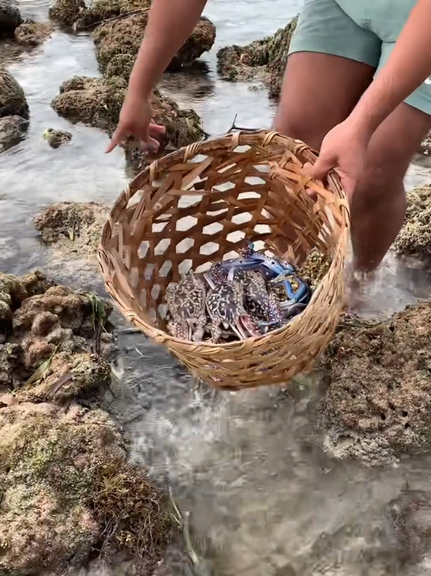 #netfishing #handfishing #ruralfishing #fishing#catchingfish 