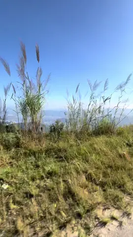 Yata khoi kuri basyo ke ❤️💋#nepalisong #fyp #nature peaceful #foryoupage #sarankotpokhara ❤️🫶🏻🤭🤭🤭