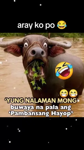 #fypシ゚viral🖤tiktok 😂