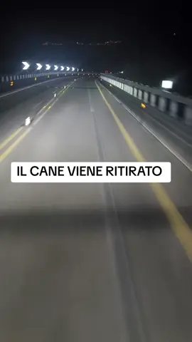 #scherzitelefonici 