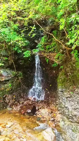 Nature Sound for Relaxation 82 Flowing Water #short #watersounds #flowingwater #naturrelaxation 