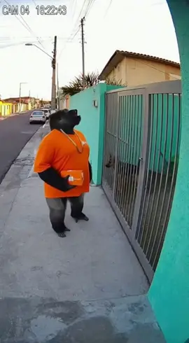 Gorilão se ferrando novamente nas entregadas kkkkk agora na shopee #humor #sora2 #zueira #meme #gorilao