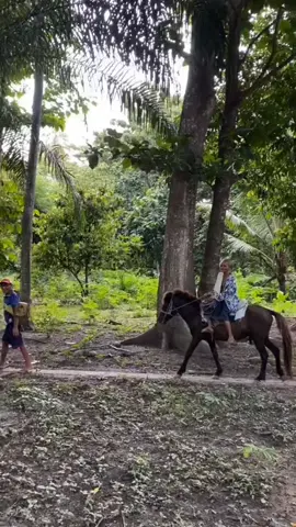 #storytiktok🎭 #fypシ゚ #tiktoktimorleste🇹🇱🐊foryoupage 