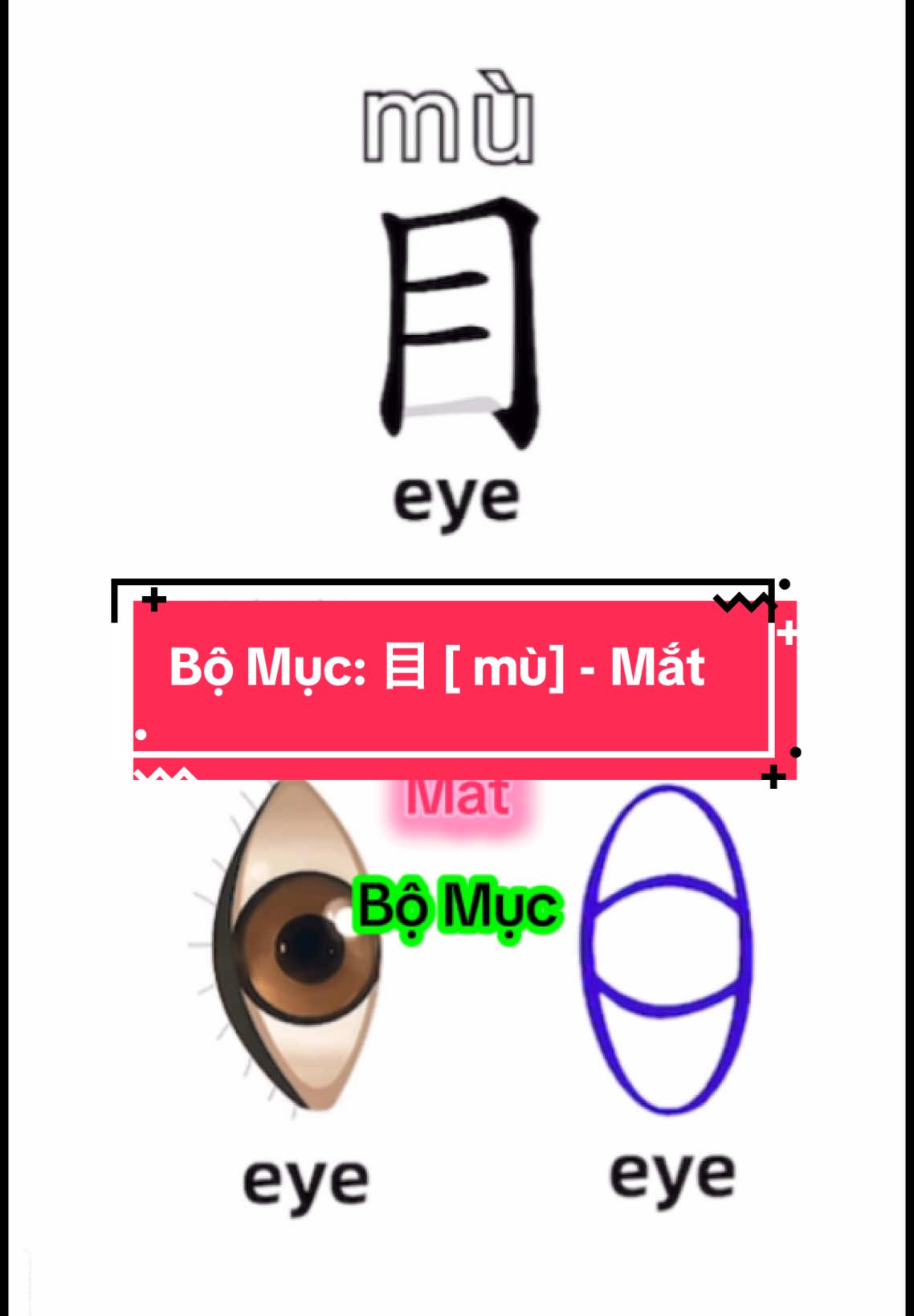 Bộ Mục: 目 [ mù] - Mắt #bocapcap #chinese #tiengtrung #tuhoctiengtrung #leanchinese #tuvungtiengtrung 