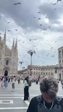 কবে মিলবে গন্তব্যের দেখা...! কবে শেষ হবে এই অন্তহীন পথ চলা...!🇮🇹🇦🇺🇪🇺#tiktok #foryou #tikviralvideo #সবাই_একটু_সাপোর্ট_করবেন_প্লিজ 
