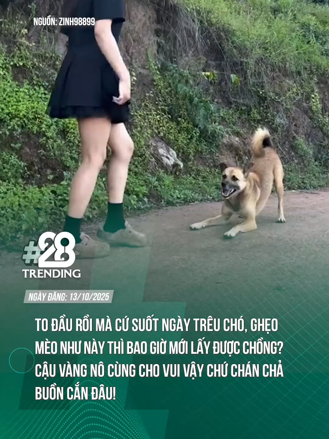 CỨ THẾ BẢO SAO :))) #theanh28 #theanh28trending #tiktoknew #tiktokgiaitri