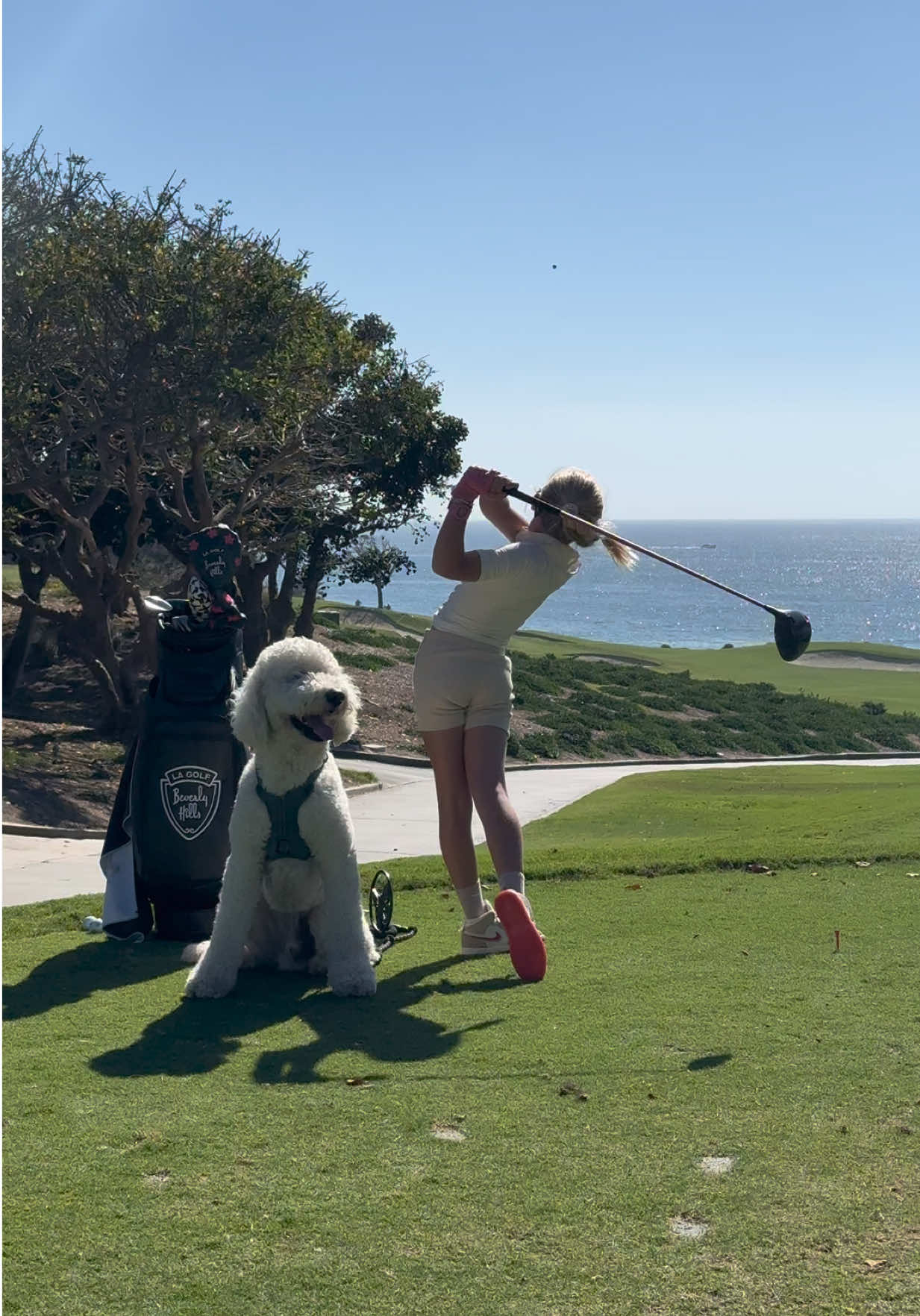 New caddy . . . . . #golf #girlgolfer #juniorgolf #golfer 