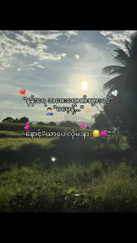 နောင့်
