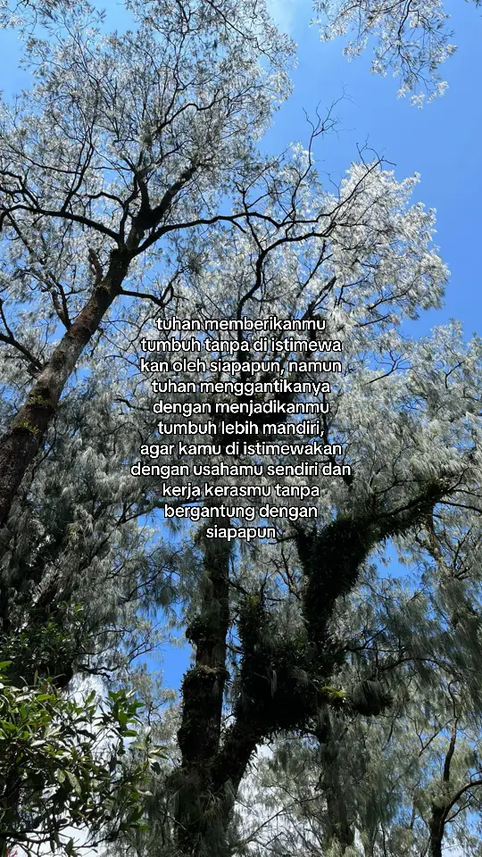 #katakata #katakatamotivasi #katabijak #fouryou #xybca #fypシ゚ #story 
