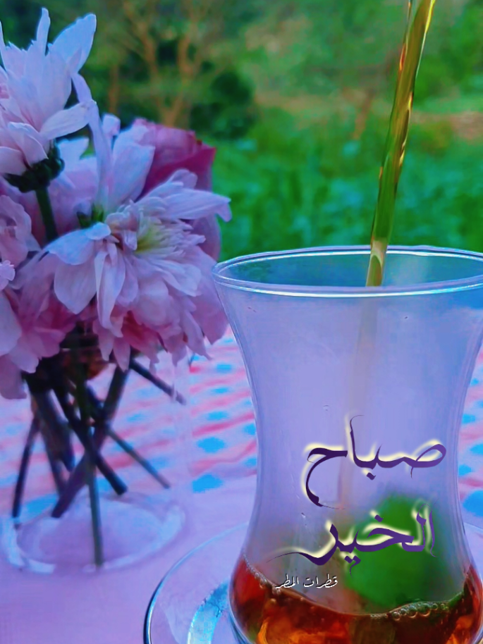 #صباح_الخير #صباحكم_معطر_بذكر_الله #صباحيات #اجواء_الصباح #اكسبلور 