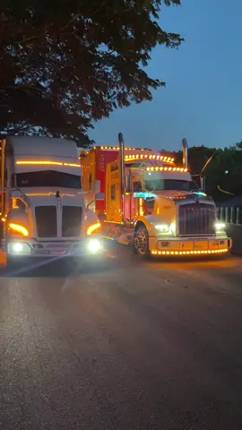 No es solo un trabajo, es mi pasión #elegantesdela57 #tiktok #dios #trailerosmexicanos🇲🇽💯😎 #trailerosdecorazon @POTRO’S TRUCKING’S 😎✌🏻 