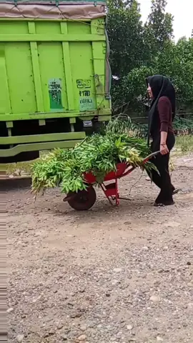rumah makan Sidomulyo punya cerita🤙🤪