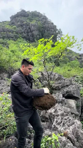 Muội đánh bầu như này đã chuẩn chưa anh em 😂#xuhuong #muoihong #xuhuongtiktok #caydep 