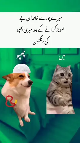 Gust fun 😅🤓 . . #unfreezemyaccount#video#memes#foryoupage 