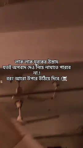 #ইসলামিক_ভিডিও_গুলো_শেয়ার_করুন_📿🕋 #support me#আবু_ত্বহা_মুহাম্মদ_আদনান #viralvideo