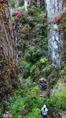 Hẻm núi Anh Cô - tuyến đường đi trek cho ai muốn khám phá tự nhiên. Nằm tại thị trấn Ngạc Vũ, Huyện Hồ Quan, TP Trường Trị, Tỉnh Sơn Tây. Nó thuộc dãy núi Thái Hành Sơn. #dulichtrungquoc #traveltochina #shanxi #yingguxia 