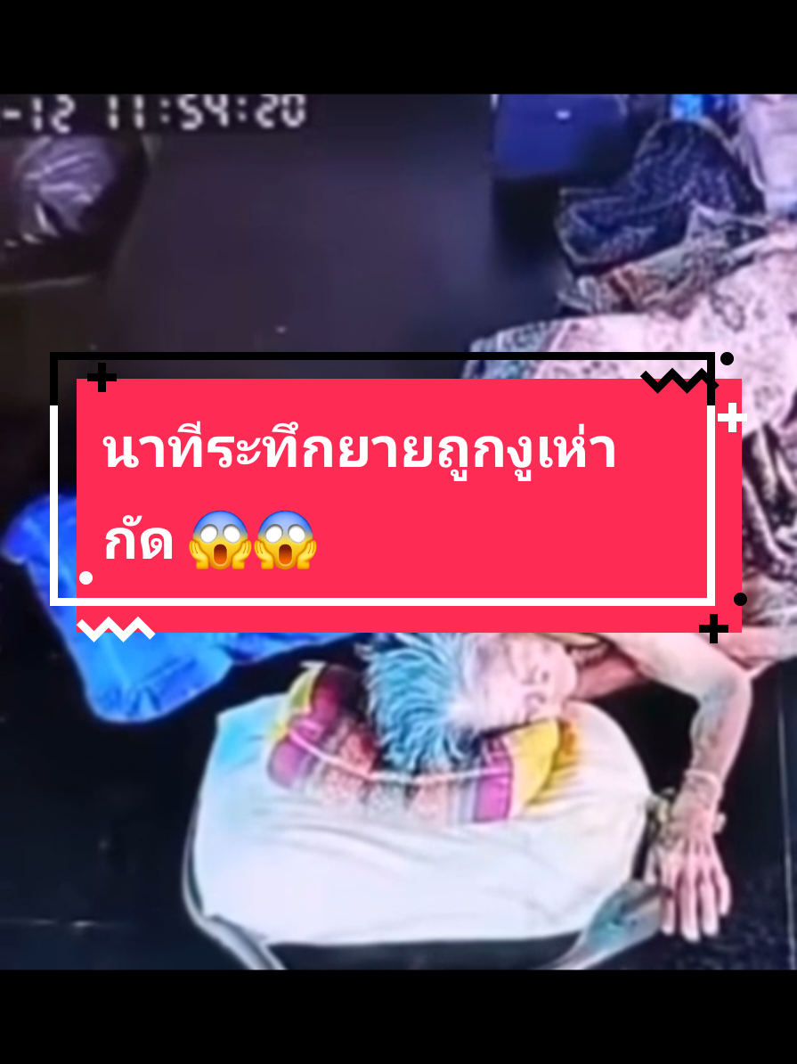 #เทรนด์วันนี้  นาทีระทึกยายถูกงูเห่ากัด 😱😱 เมื่อวันที่ 12 ตุลาคม 2568 ประมาณเวลา 12:00 น. นางสาวเกวลี ประทุมทอง บ้านยาวี ต.วังชมภู อ.เมืองเพชรบูรณ์ จังหวัดเพชรบูรณ์ ได้เปิดเผยว่า แม่ตนถูกงูเห่าฉกอาการสาหัส โดยได้เล่าให้ฟังว่า ในขณะที่แม่ของตนคือ นางทอง ประทุมทอง อายุ 93 ปี นอนพักผ่อนอยู่บนเตียงใต้ถุนบ้านได้มีงูเห่าตัวขนาดเท่าแขนคน ยาวประมาณ 1 วา เลื้อยขึ้นบนเตียง ฉกที่นิ้วมือของคุณแม่ ทำให้คุณแม่ได้รับบาดเจ็บ และร้องด้วยความเจ็บปวด เมื่อตนทราบข่าว จึงรีบนำคุณแม่ส่งโรงพยาบาลในตัวจังหวัดเพชรบูรณ์ เพื่อทำการรักษา ปัจจุบันแม่ยังมีอาการสาหัสนอนรักษาตัวอยู่ในห้องไอซียู… จึงฝาก เป็นอุทาหรณ์ว่า “การปล่อยให้คนแก่อยู่ตามลำพังต้องระวังสัตว์เลืัอยคลาน ซึ่งอาจเลื้อยเข้ามาทำร้ายโดยที่เราไม่รู้ตัว” #งู #อันตราย #ผู้สูงอายุ #หน้าฝน ฝน