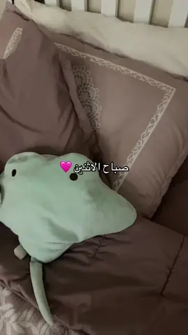 صباح الخيير🩷#explore #مالي_خلق_احط_هاشتاقات #fypシ #foryoupage 