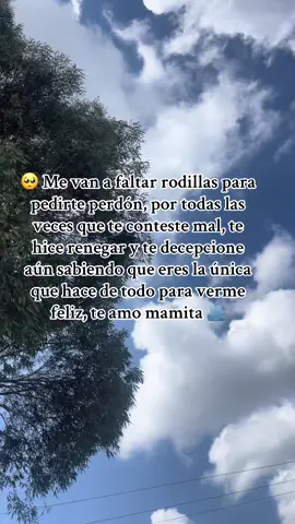 🥺 mamita #teamomami #mimami #mamá #graciasmama 