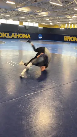 Tiger style #tiktok #mma #school 