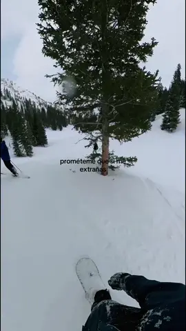 FERXXO EDITION @tiko #ferxxo #feid #colombia #viral #indirecta 