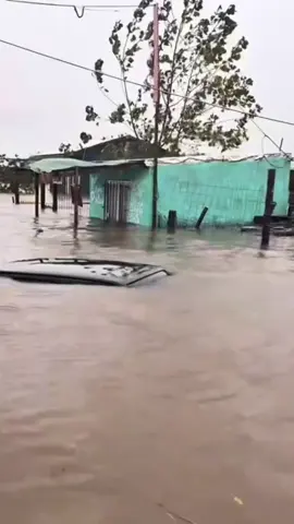 Gracias a todas las personas que pensaron en nuestro animalitos🥺💗🌸 #inundación #pozaricaveracruz 