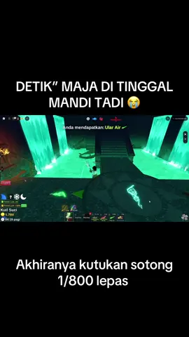 Alhamdulillah ges, habis mandi wangi 🗿 di tinggal mandi 10 menitan ngangkat #fishit #secret #robloxedit #robloxfyp #roblox 