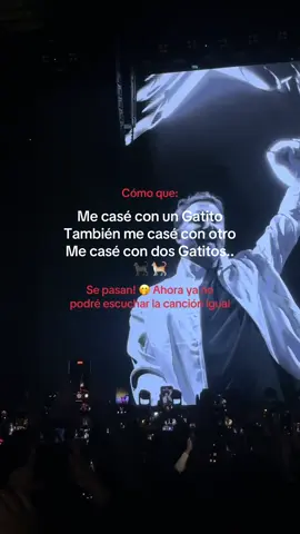 Ya nada será igual 😂🤣😂 Ahora solo escucho: Me casé con un gatito.. 🎶 #DavidGuetta #Tonight #Arya #Letra #Concierto 