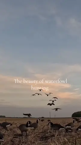 Gotta love it #huntin 